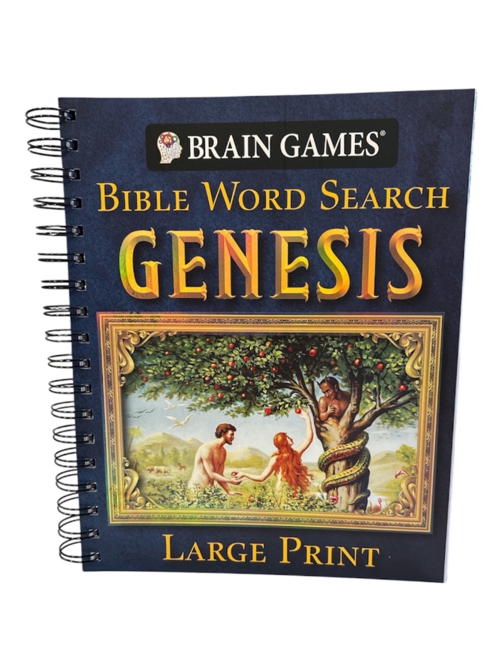 BIBLE WORD SEARCH Genesis  Large Print and Pen